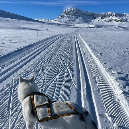 Apartamento With Garage, Views, In And Out *