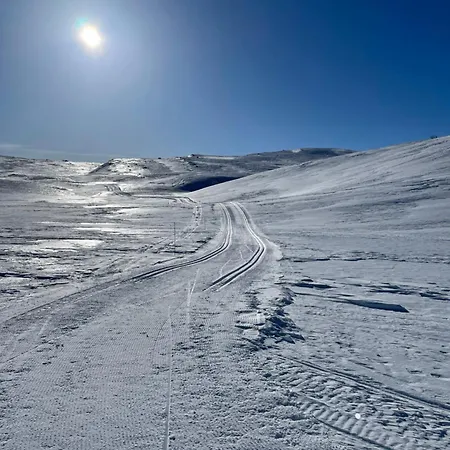 Апартаменты With Garage, Views, In And Out *