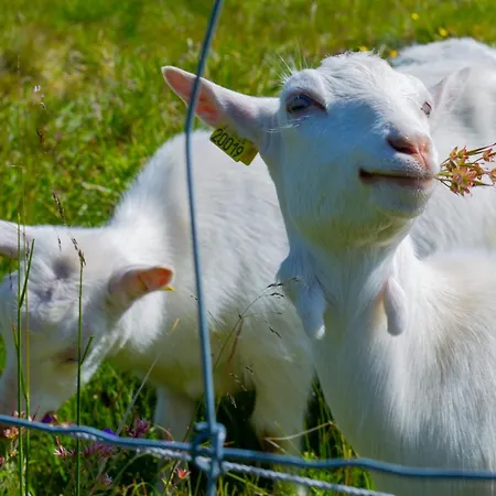 Апартаменты With Garage, Views, In And Out Beitostolen