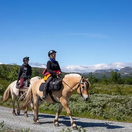 3 Roms Naer Alpinbakke Og Skiloyper * Beitostolen